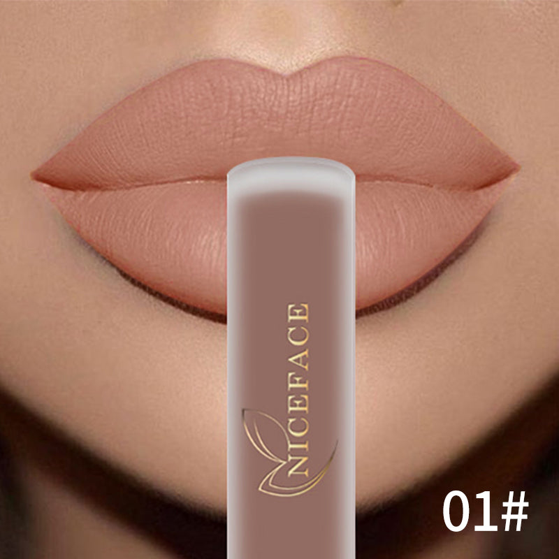 Hot Color Lip Gloss Waterproof Matt Lipgloss Lasting Nude Liquid Lipstick Cosmetic Sexy Women Lip Tint Makeup Lip Stain