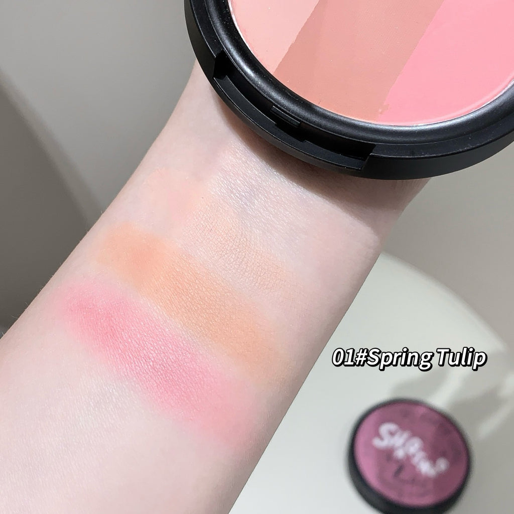 Three-color Blush Matte Pearlescent Contouring and Long-lasting Powder Delicate Three-Color Rouge